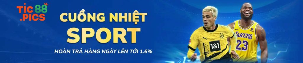 tic88 cuồng nhiệt thể thao