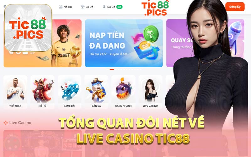 Tổng Quan Đôi Nét Về Live Casino Tic88
