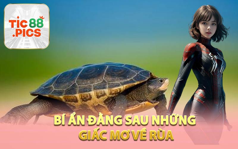 Bí Ẩn Đằng Sau Những Giấc Mơ Về Rùa