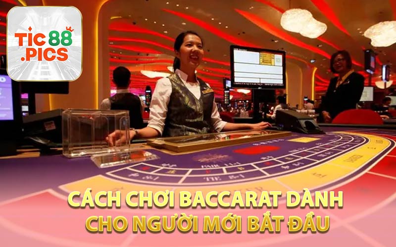 Cách Chơi Baccarat Dành Cho Người Mới Bắt Đầu