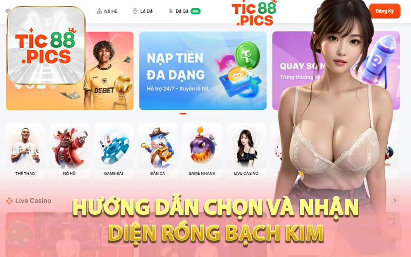 Hướng Dẫn Chọn và Nhận Diện Rồng Bạch Kim